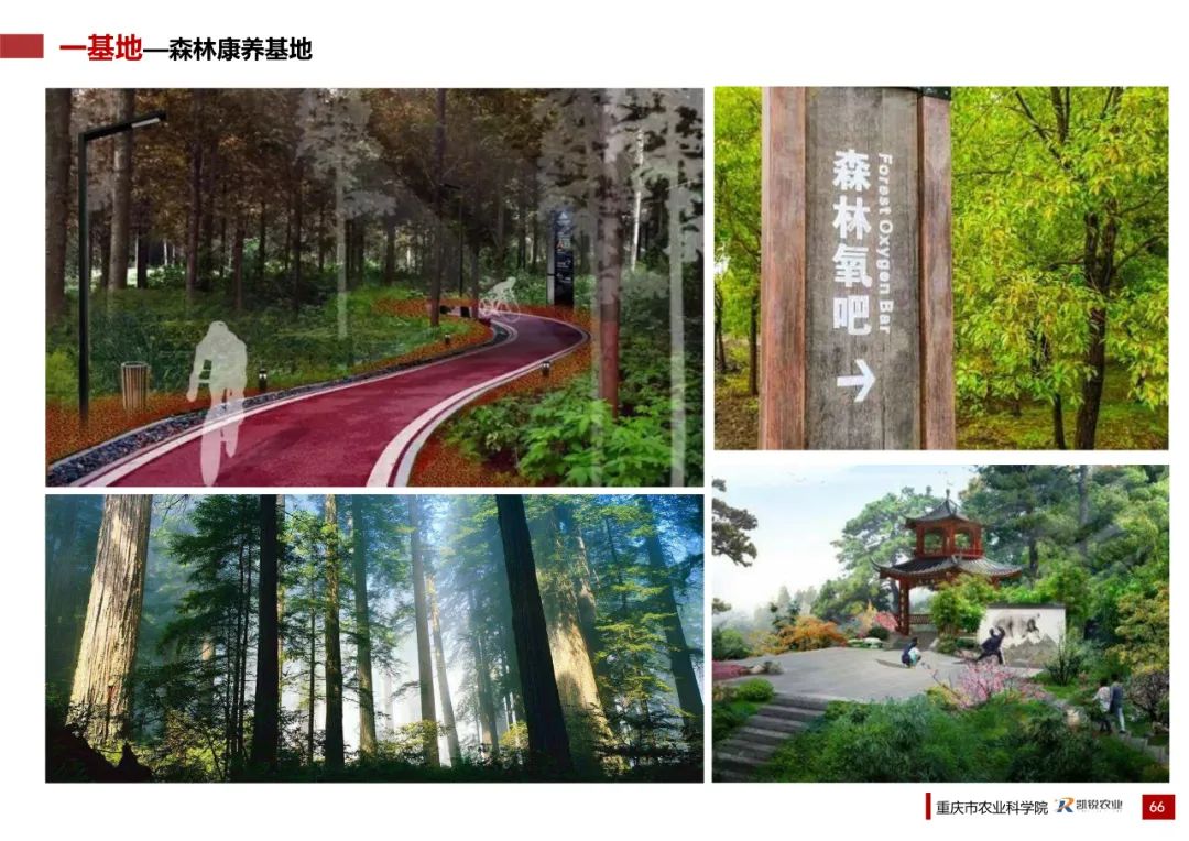 乡村振兴示范村总体规划怎么做？这个118页的PPT参考一下
