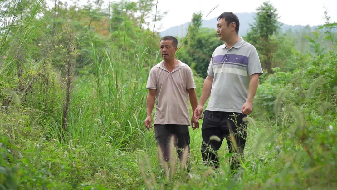 自然资源部定点扶贫驻村第一书记:把初心写在大地上 自然资源部定点扶贫驻村第一书记:把初心写在大地上