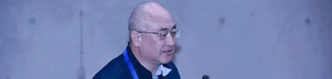 石晓冬、王崇烈、吴俊妲:城市更新的全生命周期行动 石晓冬、王崇烈、吴俊妲:城市更新的全生命周期行动