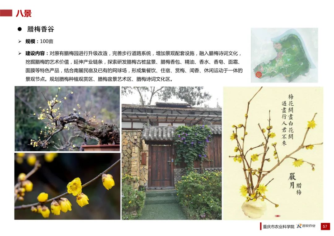 乡村振兴示范村总体规划怎么做？这个118页的PPT参考一下