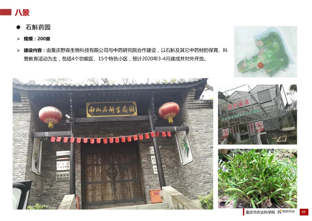乡村振兴示范村总体规划怎么做？这个118页的PPT参考一下