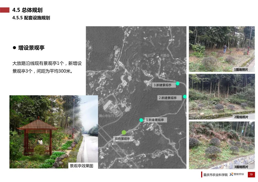 乡村振兴示范村总体规划怎么做？这个118页的PPT参考一下