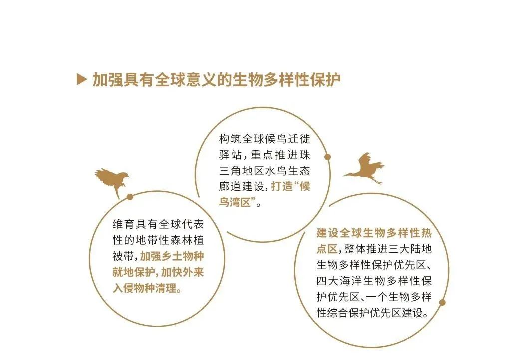 沪深广磁悬浮要来了！深圳至上海将只要3小时即可到达！