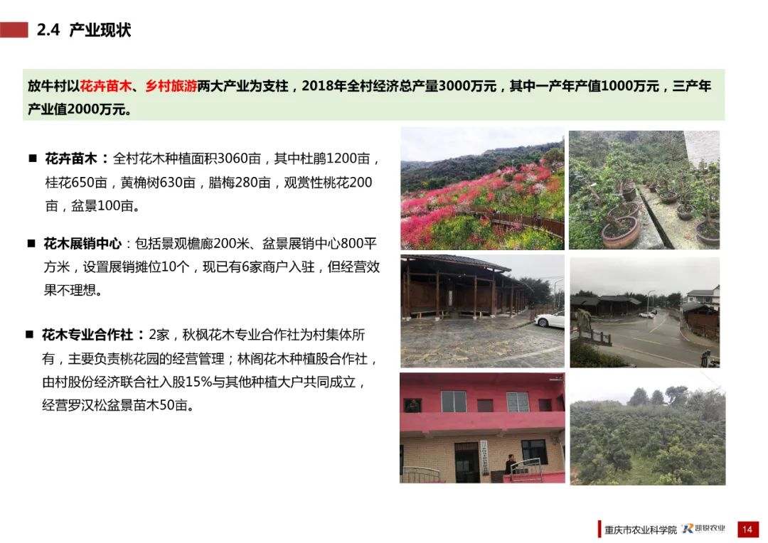 乡村振兴示范村总体规划怎么做？这个118页的PPT参考一下