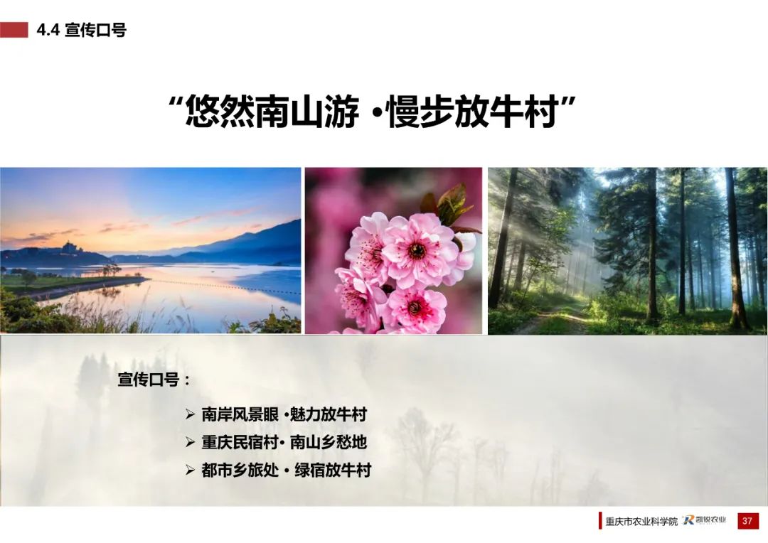 乡村振兴示范村总体规划怎么做？这个118页的PPT参考一下