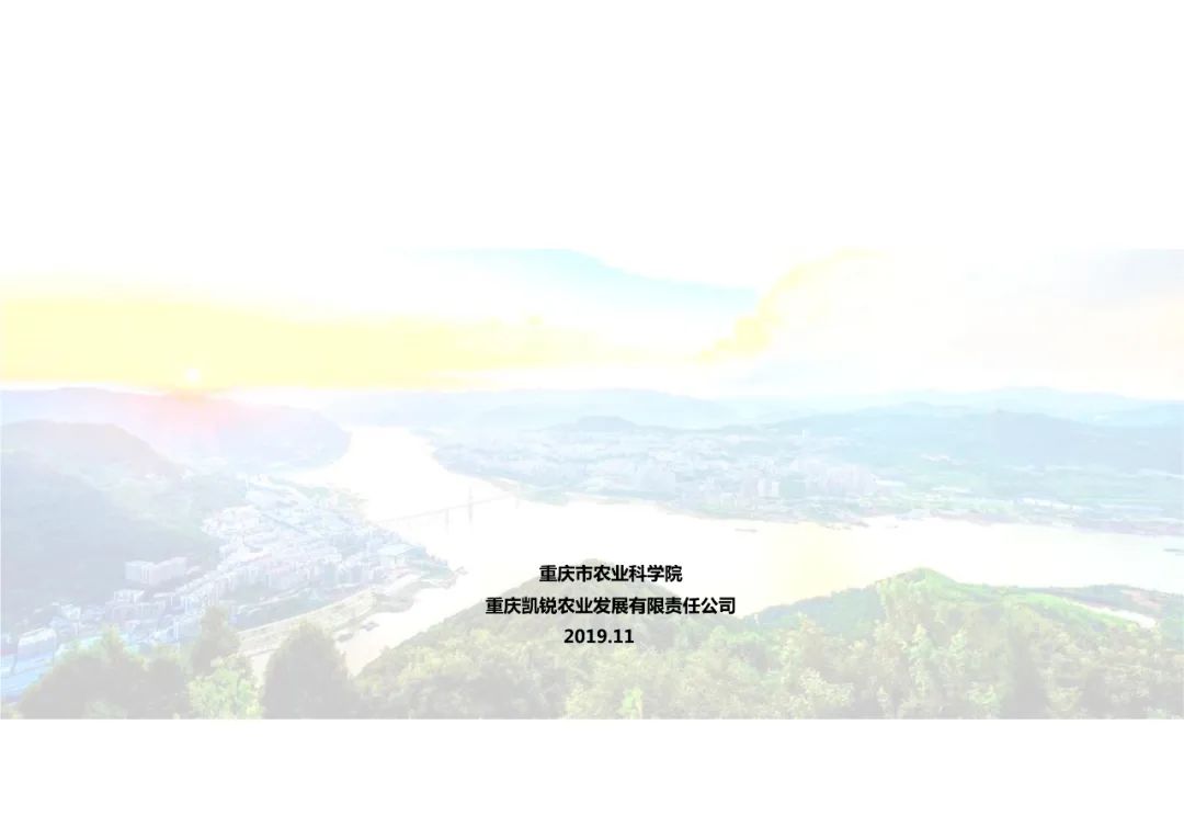 乡村振兴示范村总体规划怎么做？这个118页的PPT参考一下