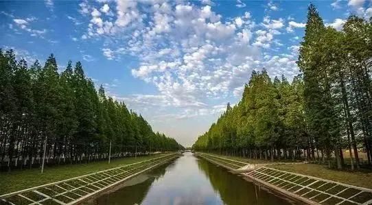 长江沿岸10公里，废弃矿坑变良田