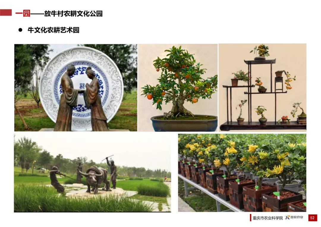 乡村振兴示范村总体规划怎么做？这个118页的PPT参考一下