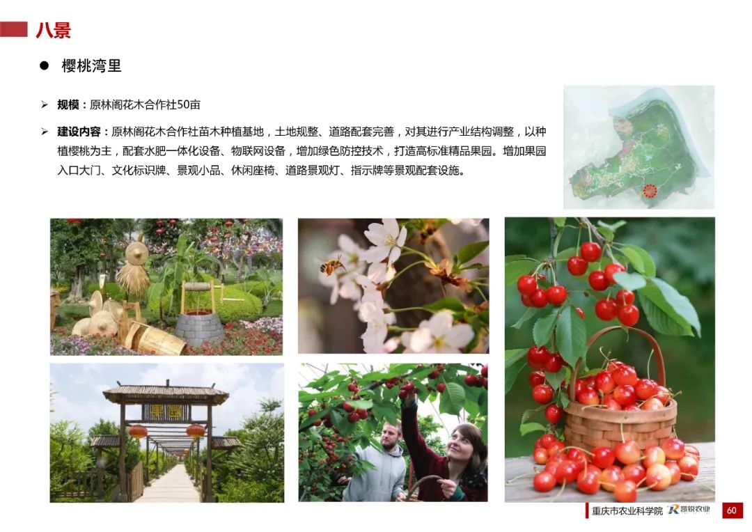 乡村振兴示范村总体规划怎么做？这个118页的PPT参考一下