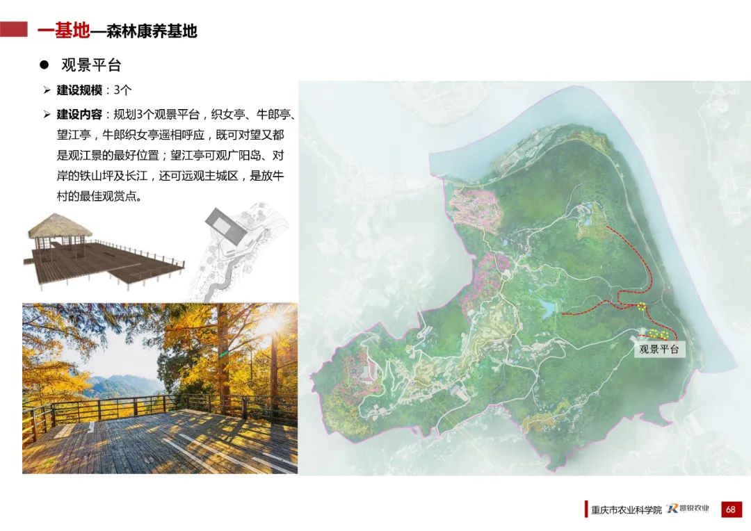 乡村振兴示范村总体规划怎么做？这个118页的PPT参考一下