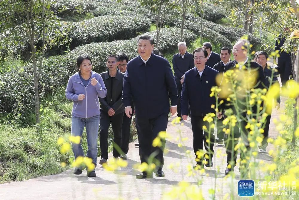 习近平：在服务和融入新发展格局上展现更大作为 奋力谱写全面建设社会主义现代化国家福建篇章