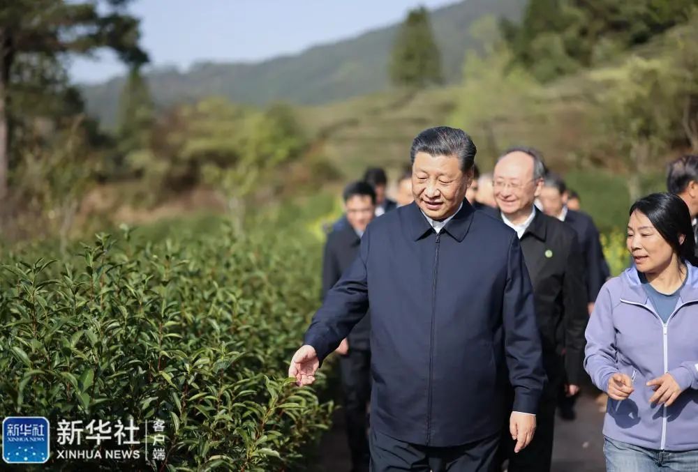 习近平：在服务和融入新发展格局上展现更大作为 奋力谱写全面建设社会主义现代化国家福建篇章