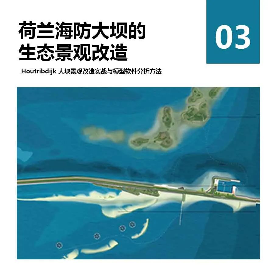 我在荷兰为鸟儿修大坝 我在荷兰为鸟儿修大坝