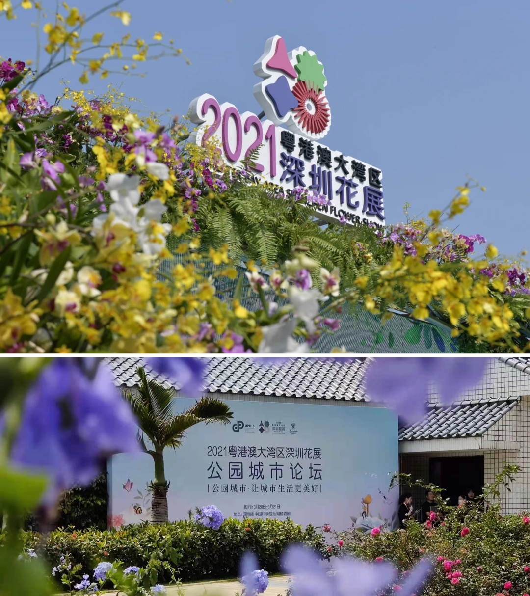 会议实录：2021粤港澳大湾区深圳花展公园城市论坛在深圳顺利召开