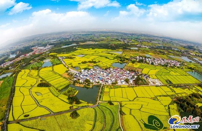 南京:“五个乡村”齐发力 乡村振兴探新路