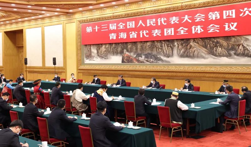 习近平在参加青海代表团审议时强调：坚定不移走高质量发展之路 坚定不移增进民生福祉