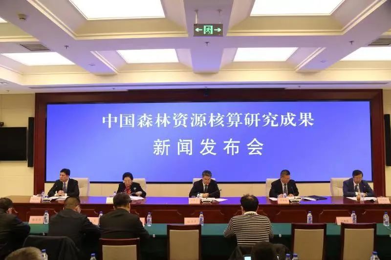 全国林地林木资产总价值超25万亿元