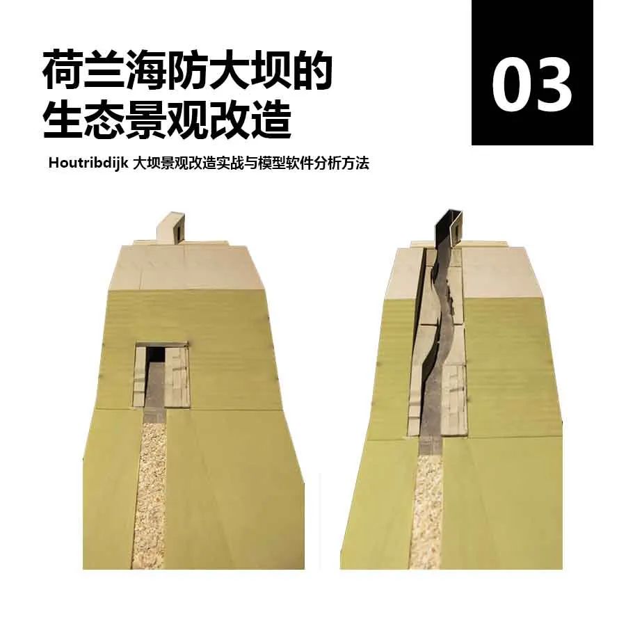 我在荷兰为鸟儿修大坝 我在荷兰为鸟儿修大坝