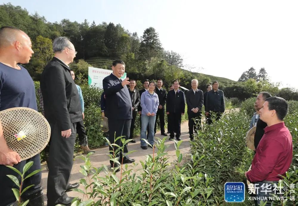 习近平：在服务和融入新发展格局上展现更大作为 奋力谱写全面建设社会主义现代化国家福建篇章
