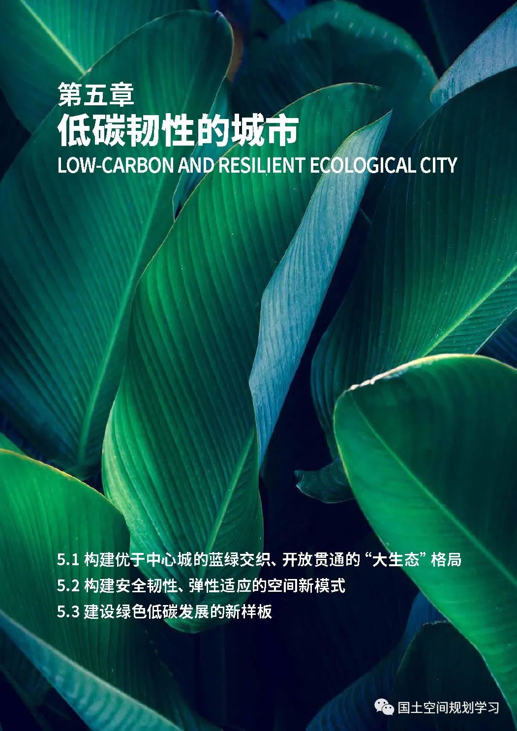 《上海市新城规划建设导则》印发