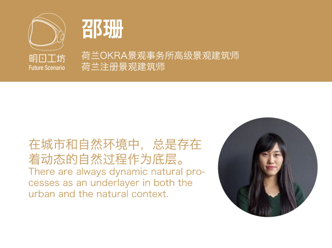 ​我在荷兰为鸟儿修大坝
