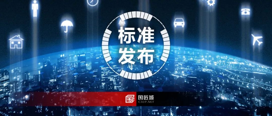 正式发布：国土空间规划“一张图”实施监督信息系统技术规范