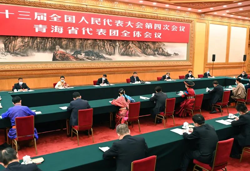 习近平在参加青海代表团审议时强调：坚定不移走高质量发展之路 坚定不移增进民生福祉