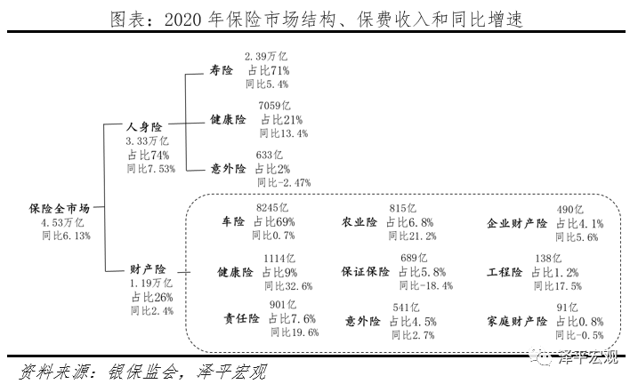 中国保险行业发展报告2021