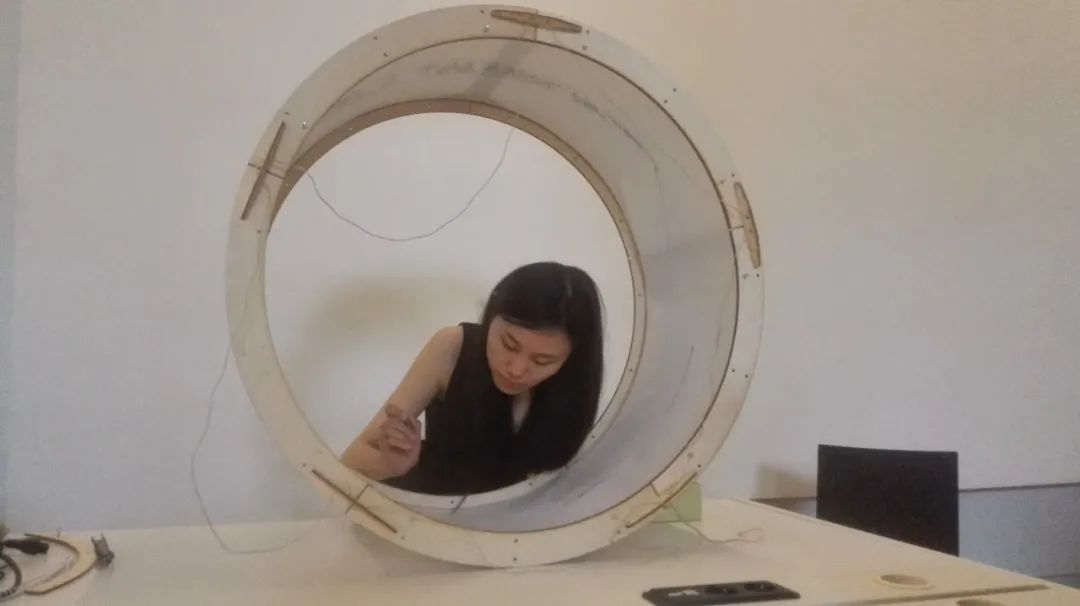 我在荷兰为鸟儿修大坝 我在荷兰为鸟儿修大坝