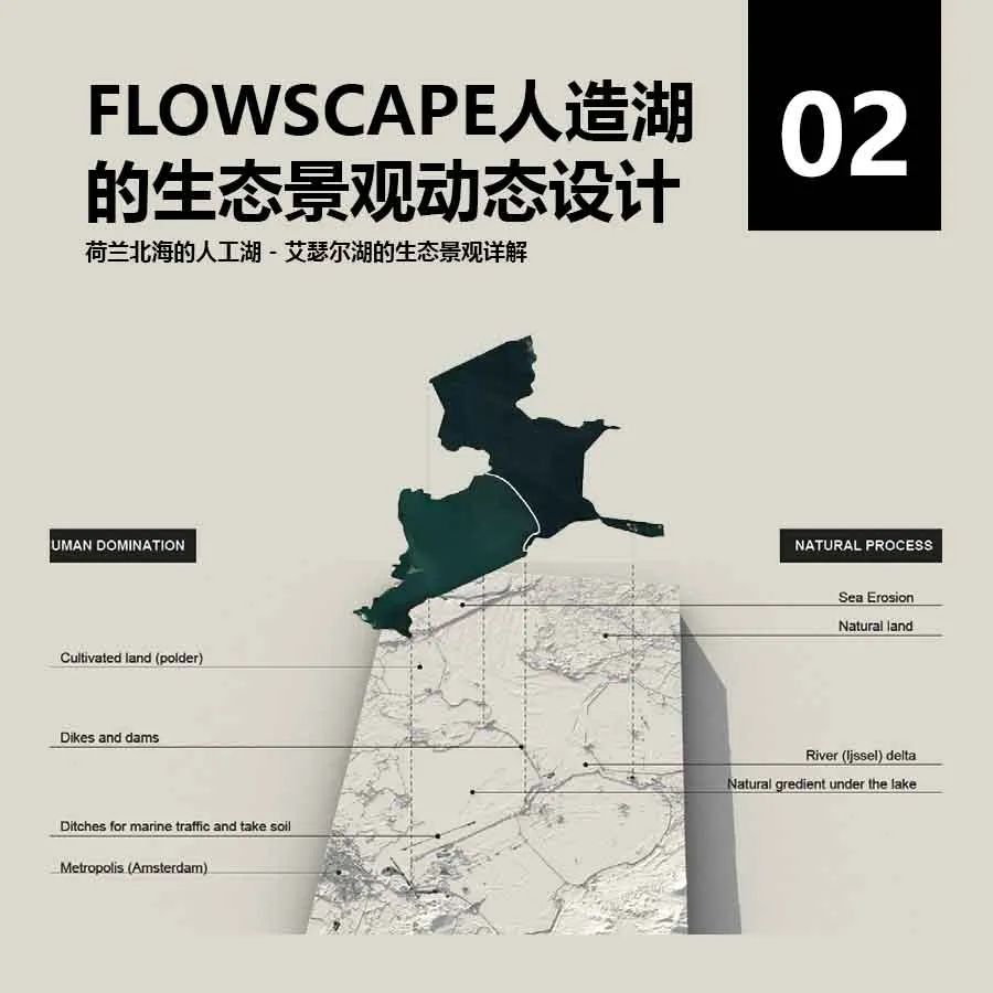 我在荷兰为鸟儿修大坝 我在荷兰为鸟儿修大坝