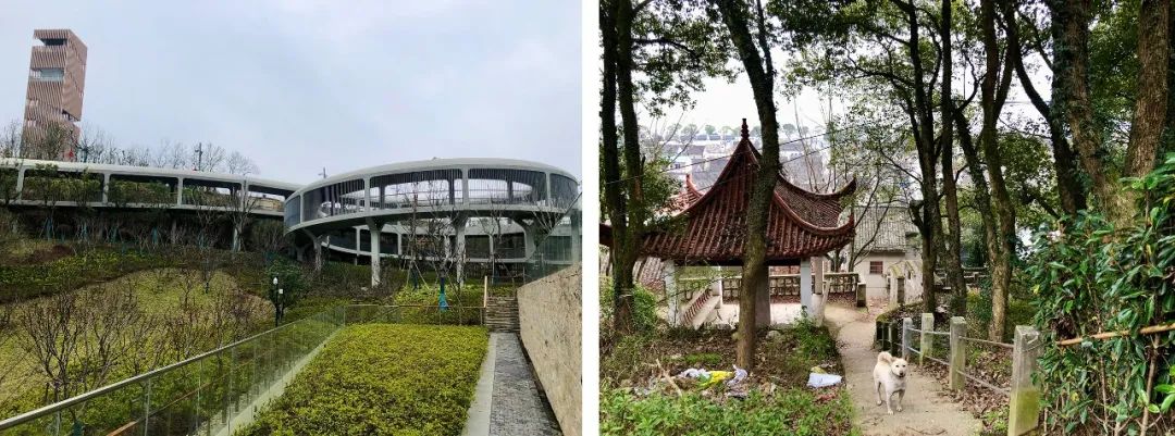 观察|文化生态双融合更新的经验借鉴——宁波东钱湖院士中心改造 观察|文化生态双融合更新的经验借鉴——宁波东钱湖院士中心改造