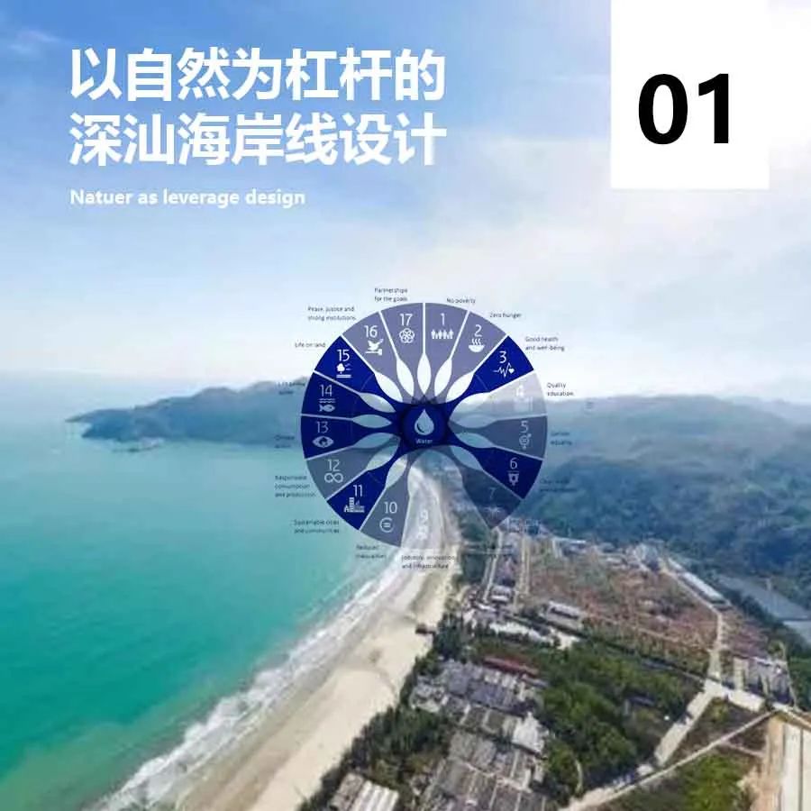 我在荷兰为鸟儿修大坝 我在荷兰为鸟儿修大坝