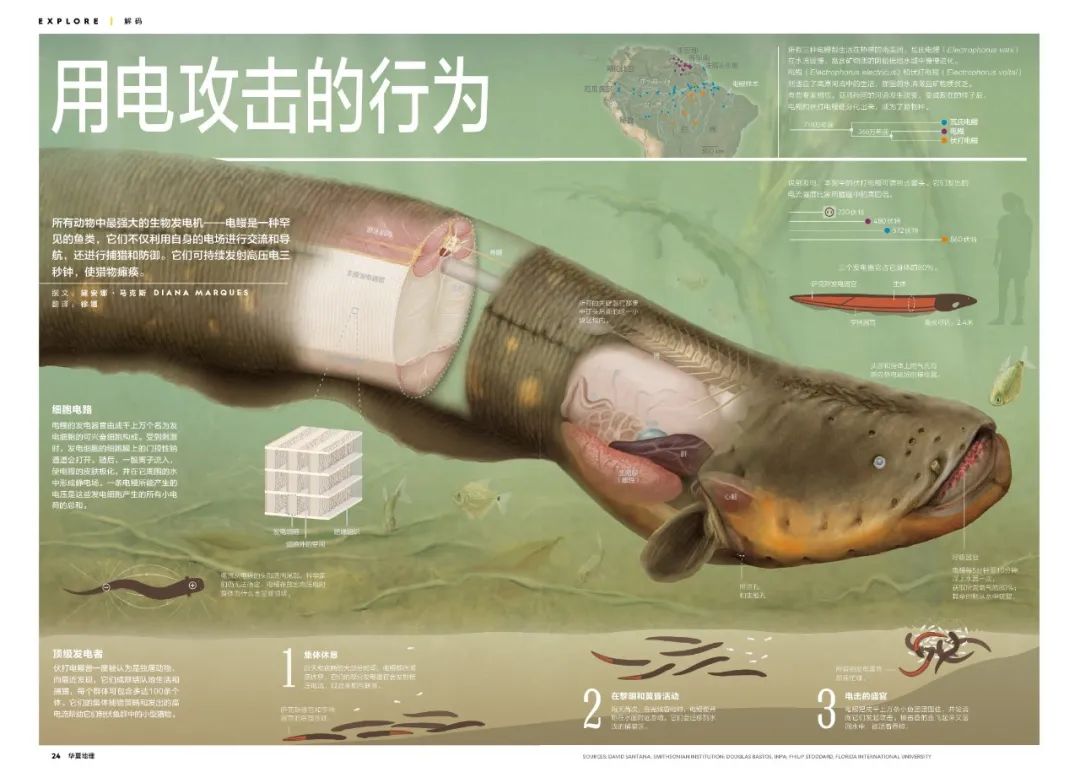2021,我要跟着它去看世界 2021,我要跟着它去看世界