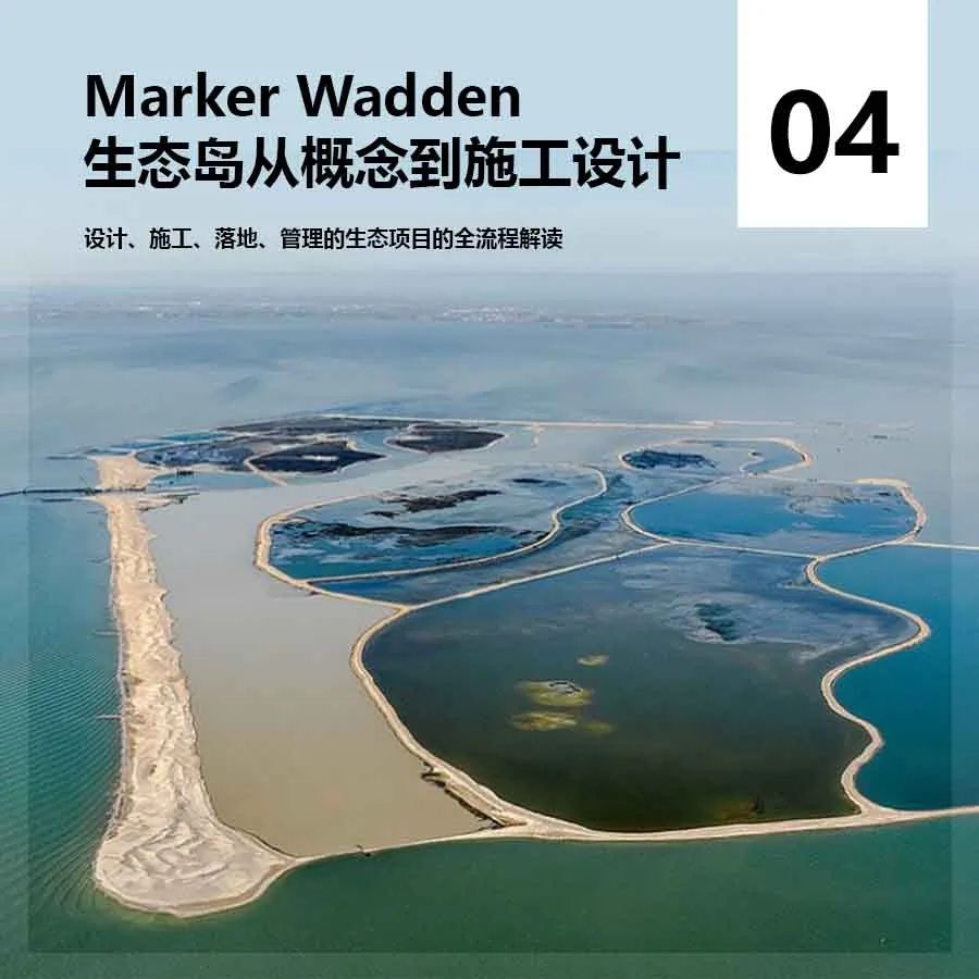 我在荷兰为鸟儿修大坝 我在荷兰为鸟儿修大坝