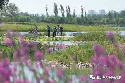 城市更新的北京实践 城市更新的北京实践