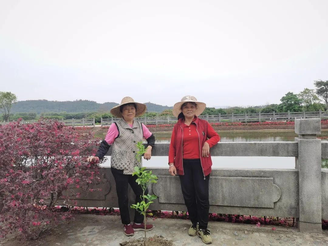 三八妇女节特别寻访——港头村女性的生活图景 三八妇女节特别寻访——港头村女性的生活图景