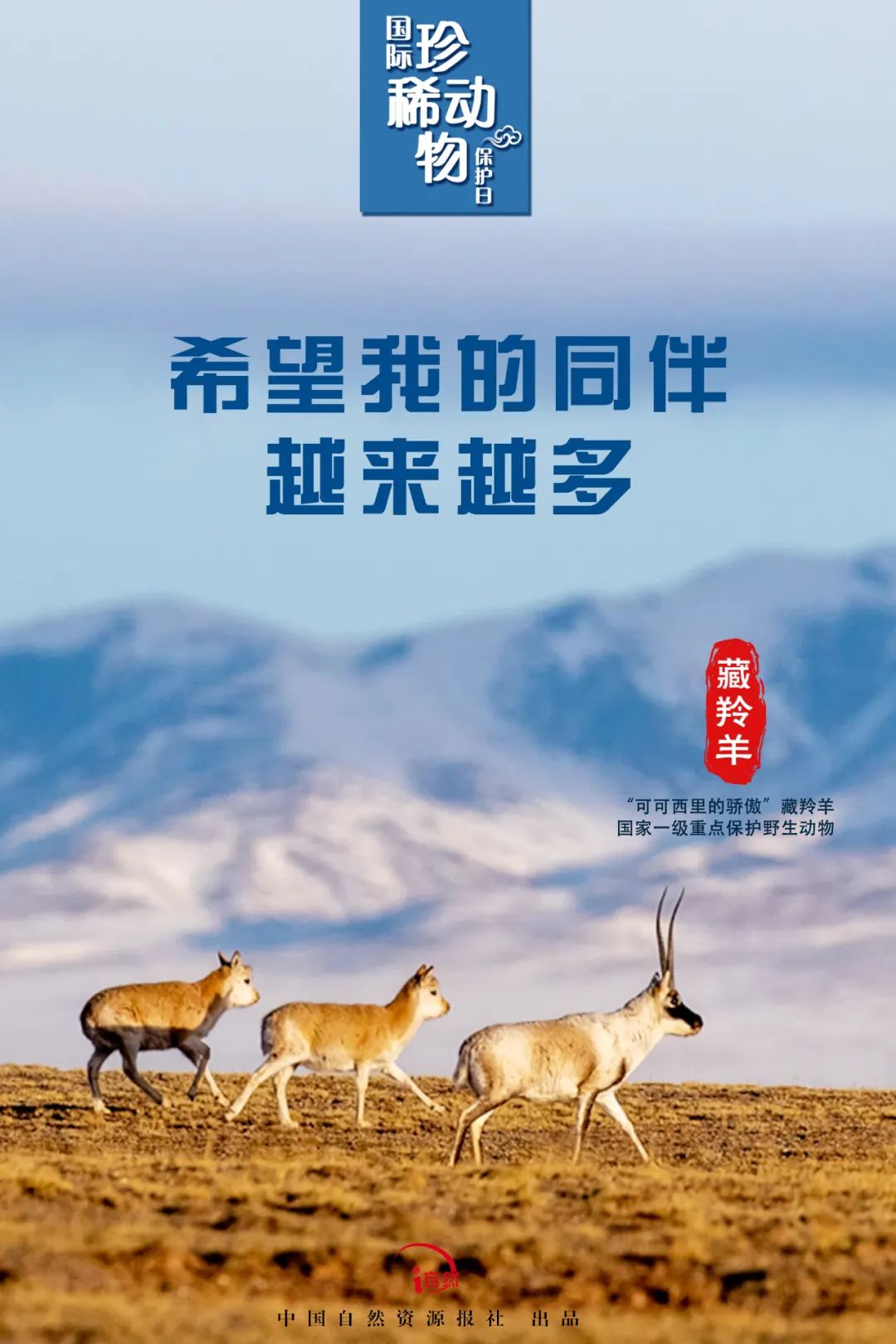 国际珍稀动物保护日｜珍稀，珍惜！