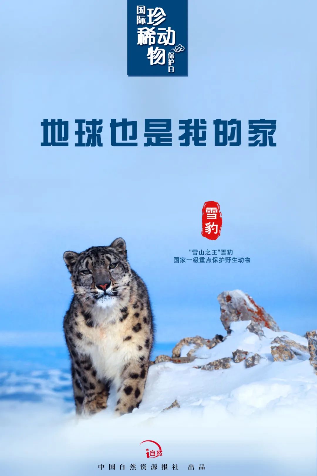 国际珍稀动物保护日｜珍稀，珍惜！