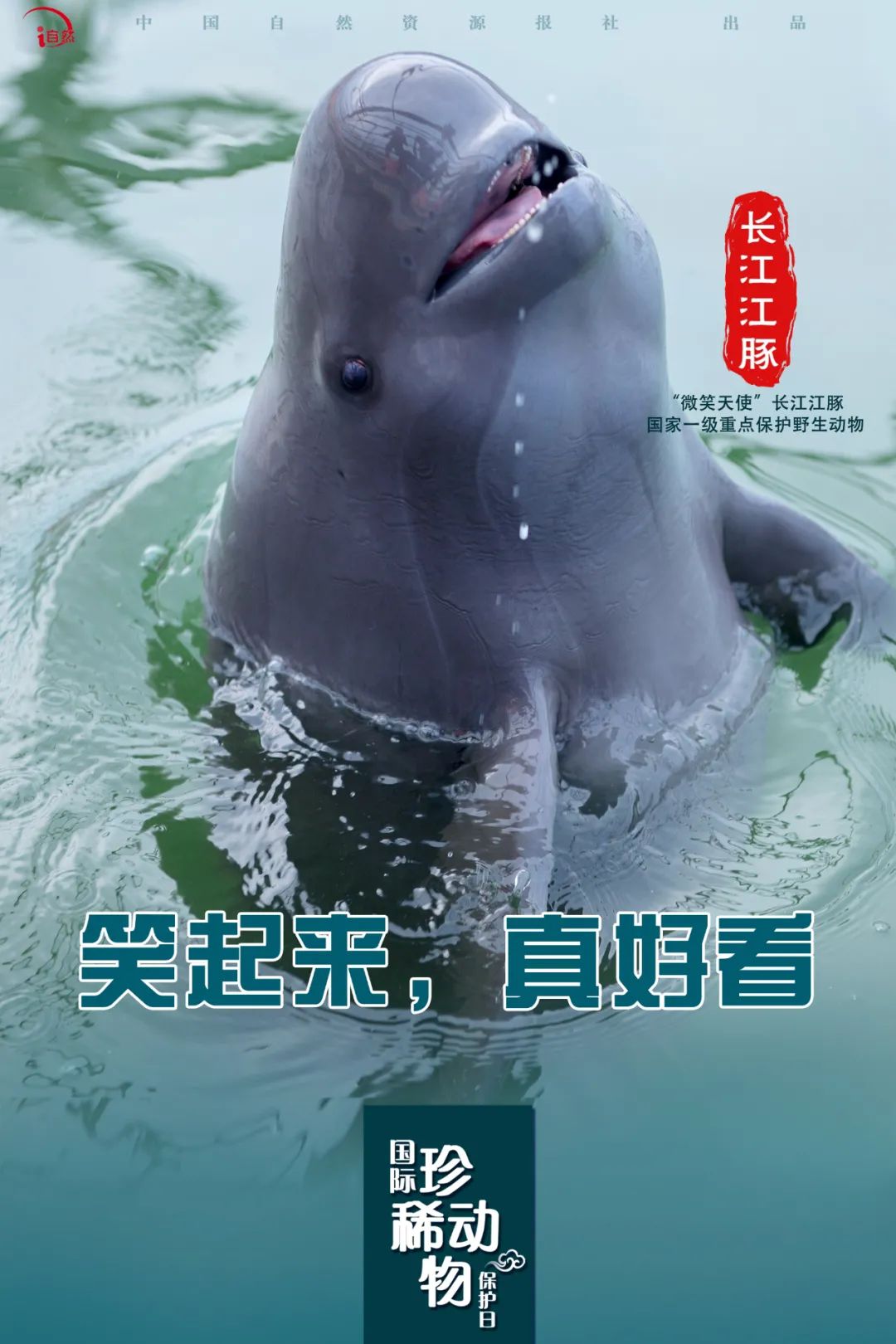 国际珍稀动物保护日｜珍稀，珍惜！