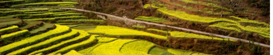 余压芳:西南民族村寨安全宜居解决方案思考与探索 | 学术季 余压芳:西南民族村寨安全宜居解决方案思考与探索 | 学术季
