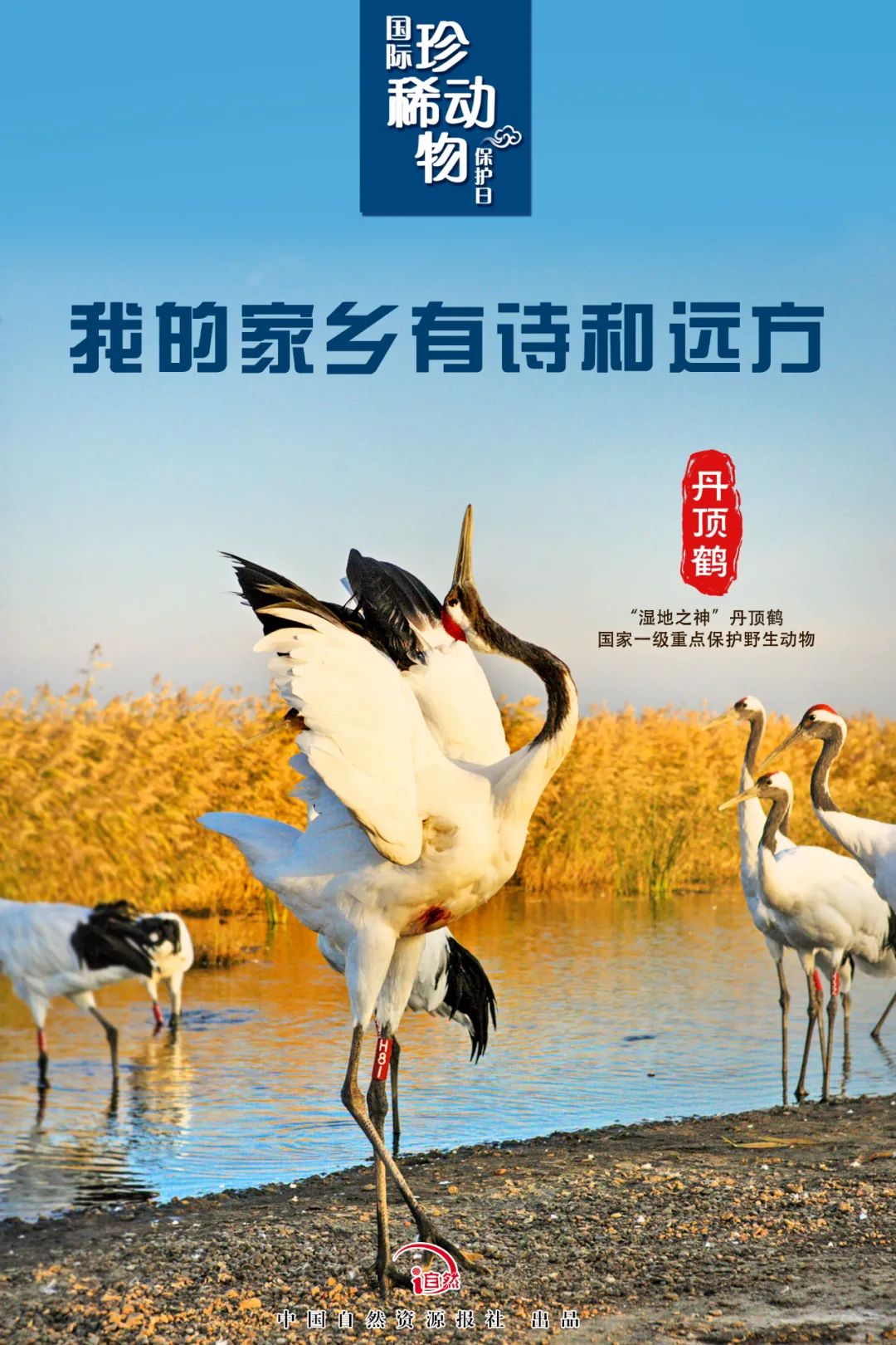 国际珍稀动物保护日｜珍稀，珍惜！