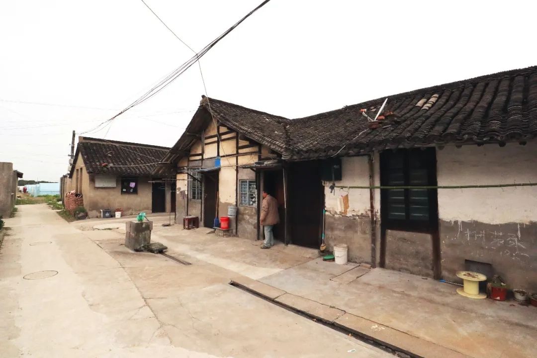 “绞圈房子”应该是“窖圈房子” “绞圈房子”应该是“窖圈房子”