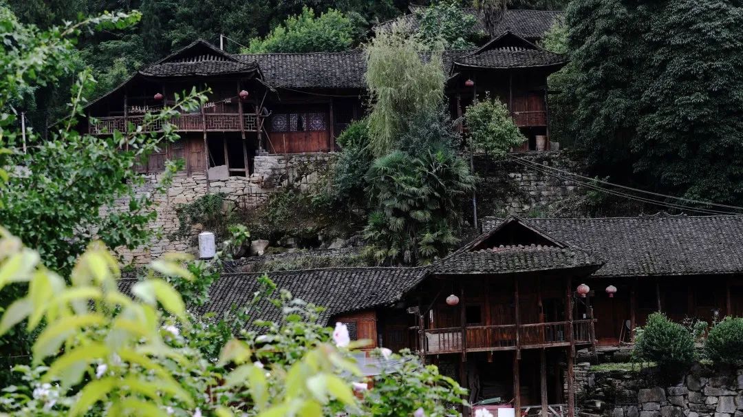 余压芳:西南民族村寨安全宜居解决方案思考与探索 | 学术季 余压芳:西南民族村寨安全宜居解决方案思考与探索 | 学术季