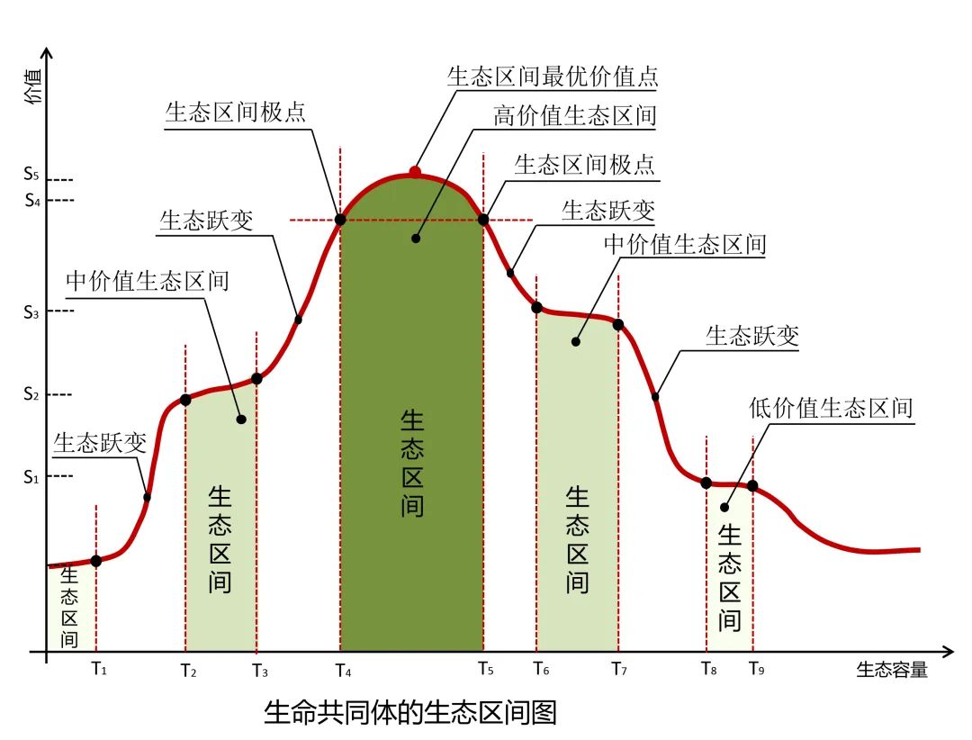 重庆广阳岛:探索建设最优价值生命共同体 重庆广阳岛:探索建设最优价值生命共同体