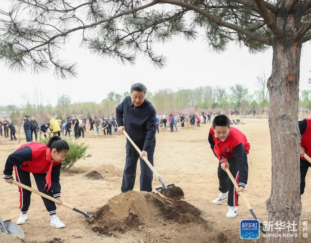 习近平：倡导人人爱绿植绿护绿的文明风尚 共同建设人与自然和谐共生的美丽家园