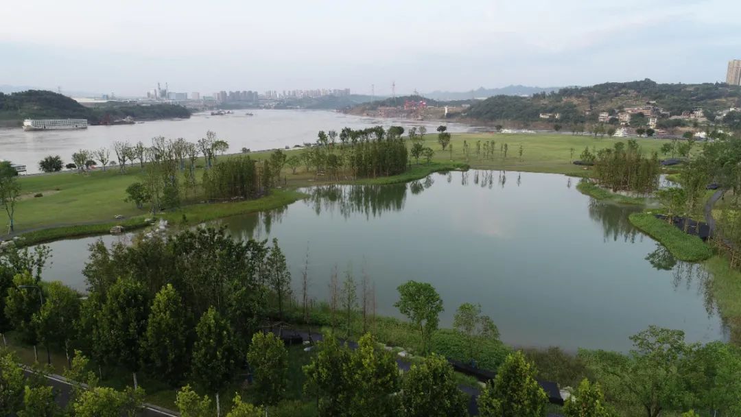 重庆广阳岛：探索建设最优价值生命共同体
