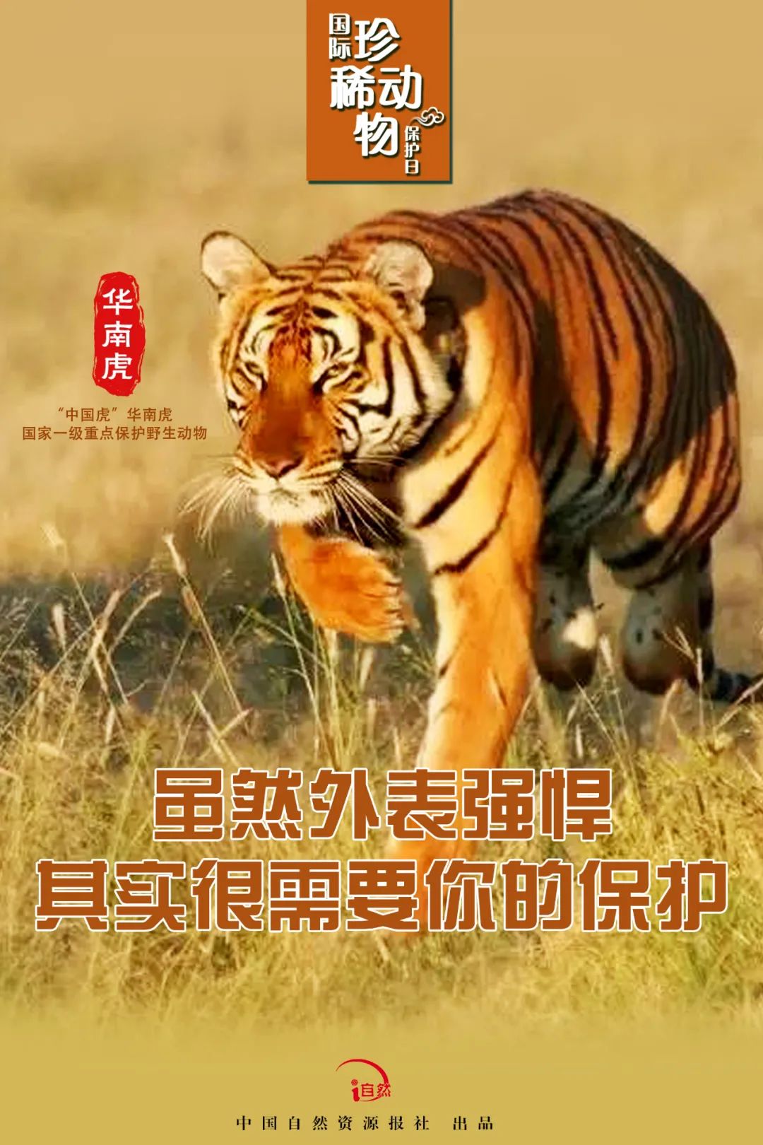 国际珍稀动物保护日｜珍稀，珍惜！