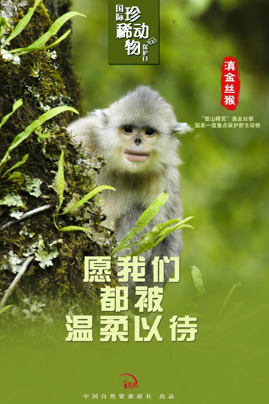 国际珍稀动物保护日｜珍稀，珍惜！