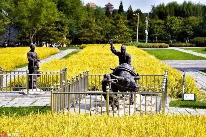 重磅!《北京海淀三山五园国家文物保护利用示范区建设实施方案》发布 重磅!《北京海淀三山五园国家文物保护利用示范区建设实施方案》发布