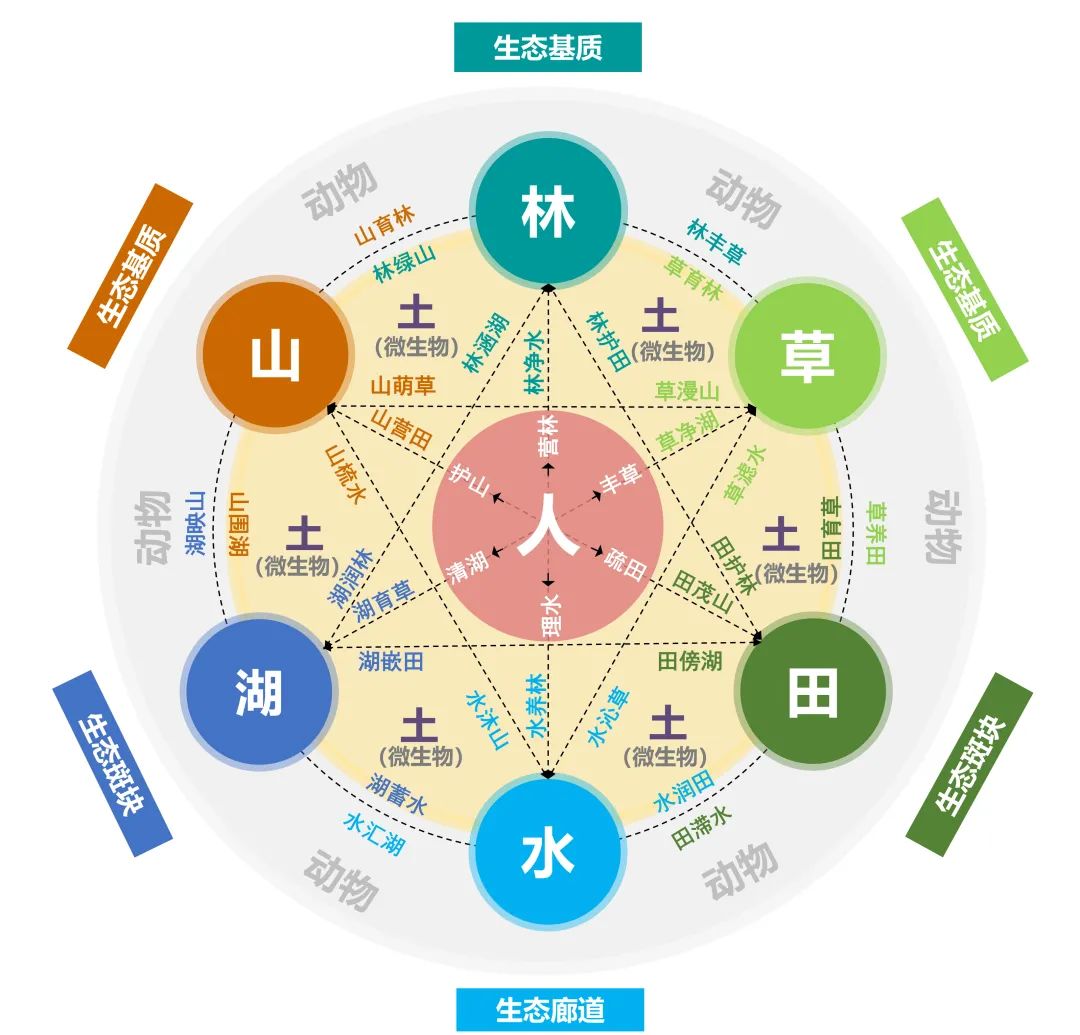 重庆广阳岛:探索建设最优价值生命共同体 重庆广阳岛:探索建设最优价值生命共同体